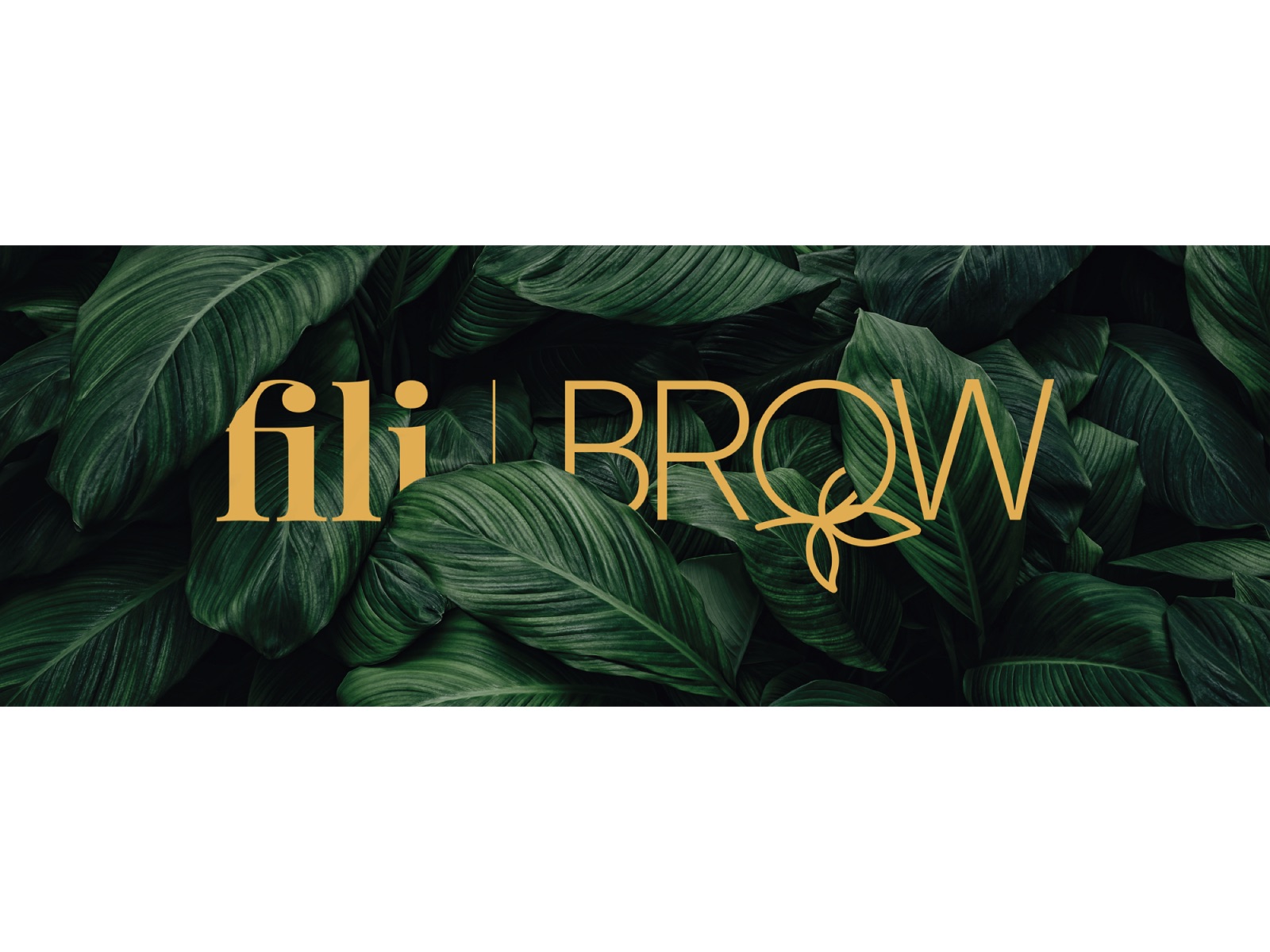 Fili Brow